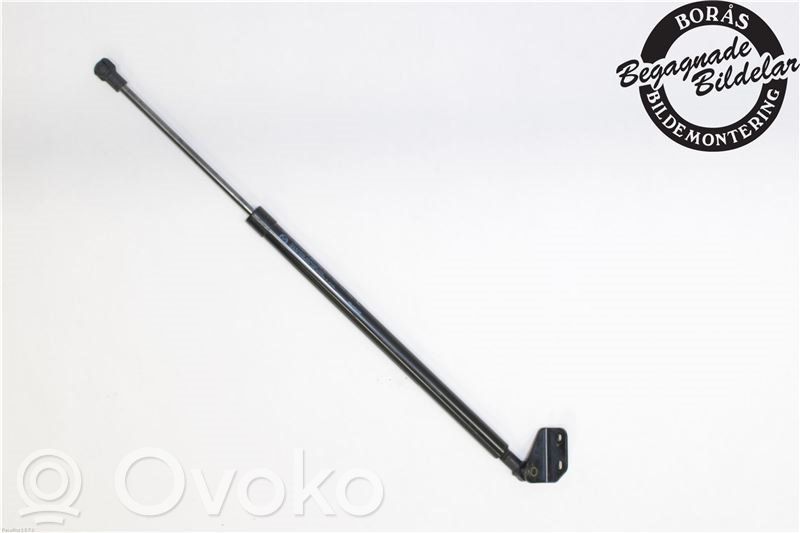 Tailgate strut   D10E63620