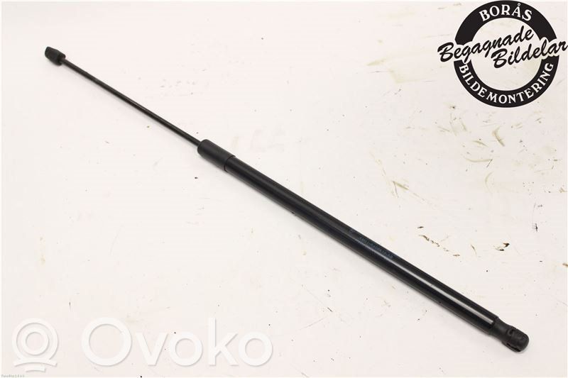 Tailgate strut   1686835,AM51R406A10AB