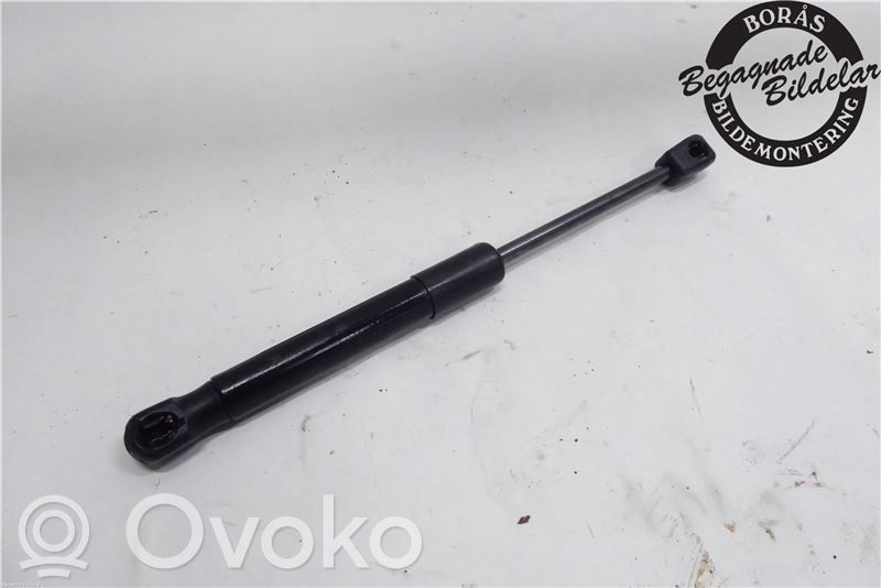 Tailgate strut   GS1D56930C