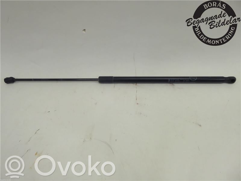 Ford C-MAX II Tailgate strut 