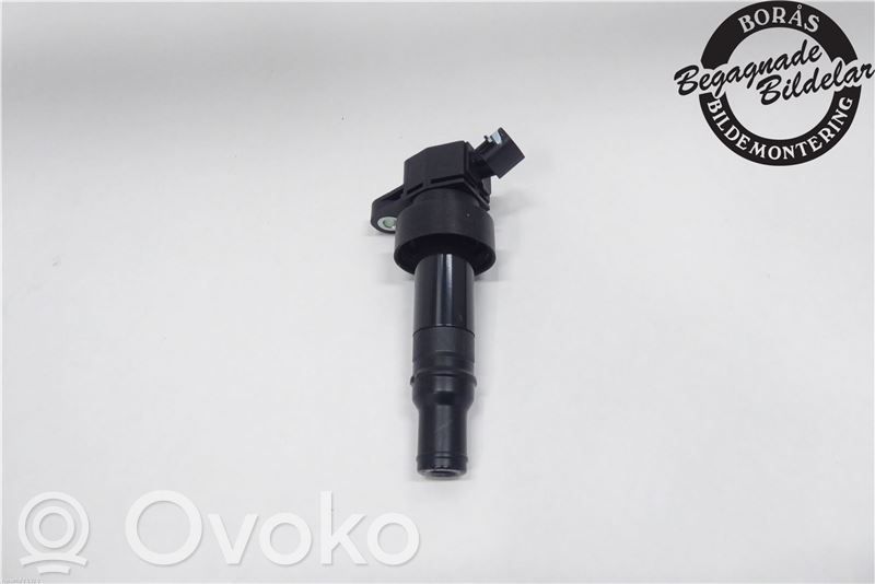 High voltage ignition coil   273012B100,273012B100