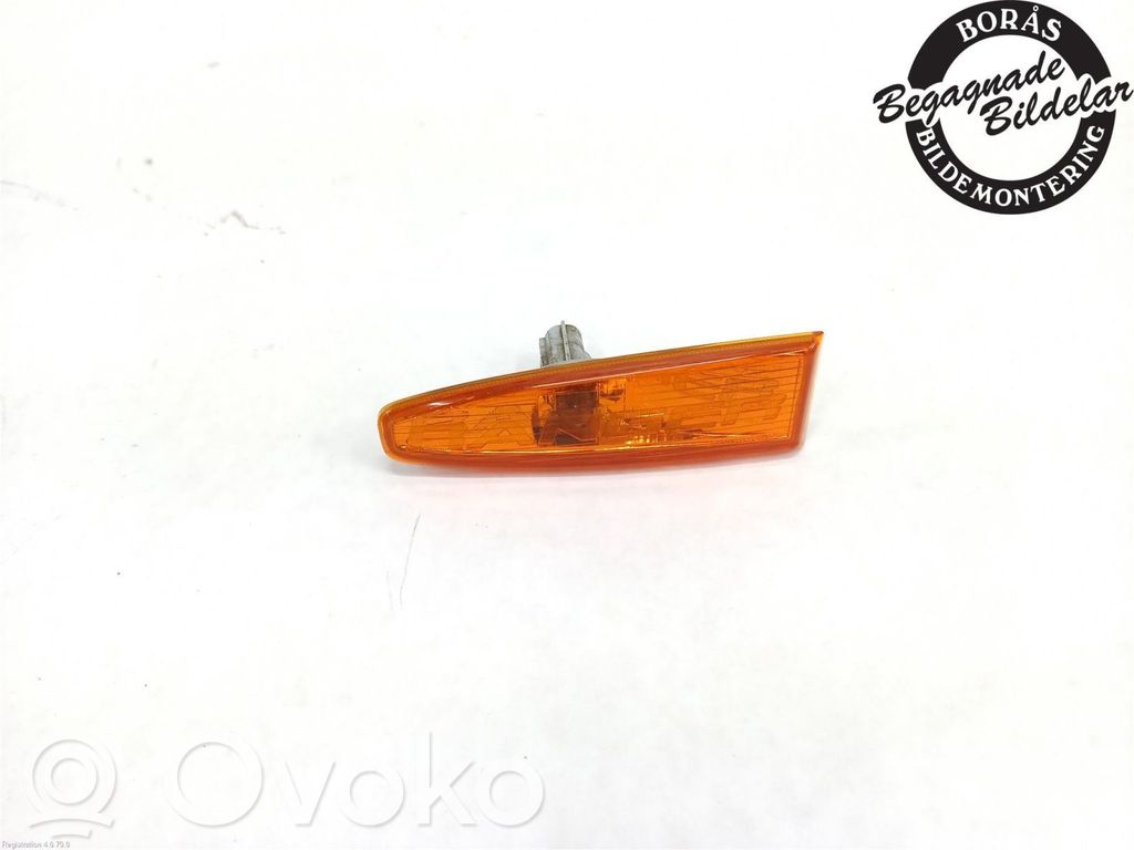 Seitenblinker   5058083