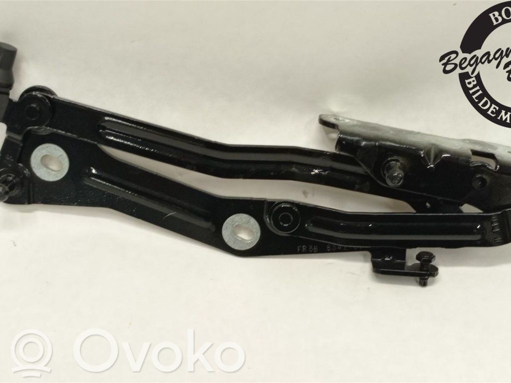 Ford Mustang VI Tailgate/trunk/boot hinge 