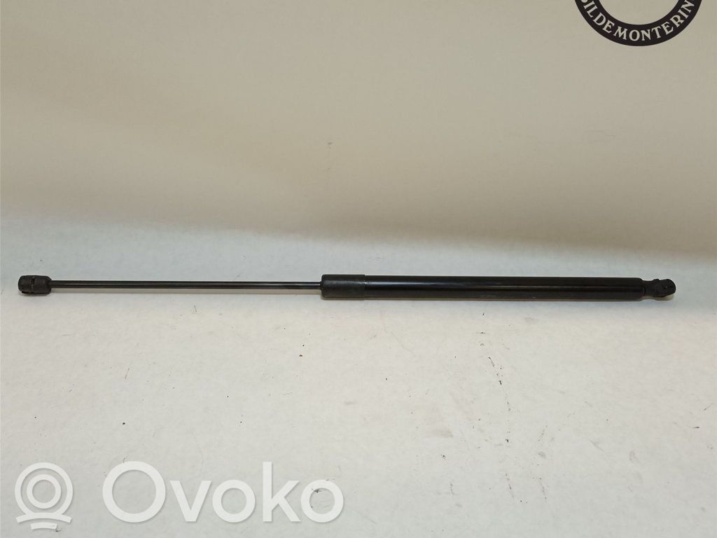 Fiat Tipo Tailgate strut 
