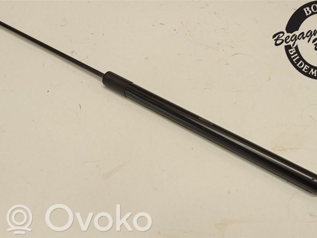 Tailgate strut   52090773