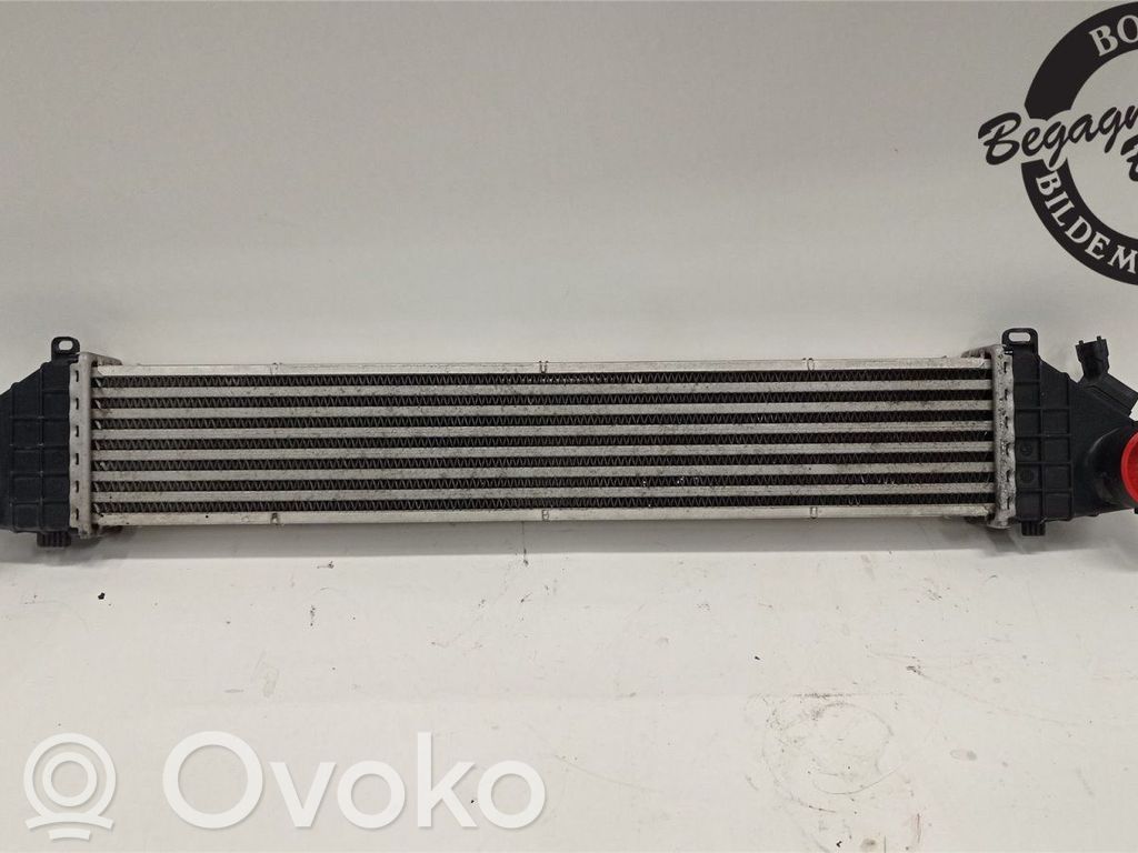 Intercooler radiator   31319262