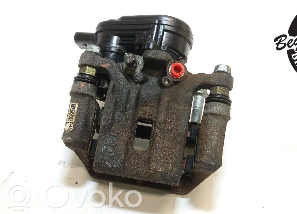Takajarrusatula   58210G4500
