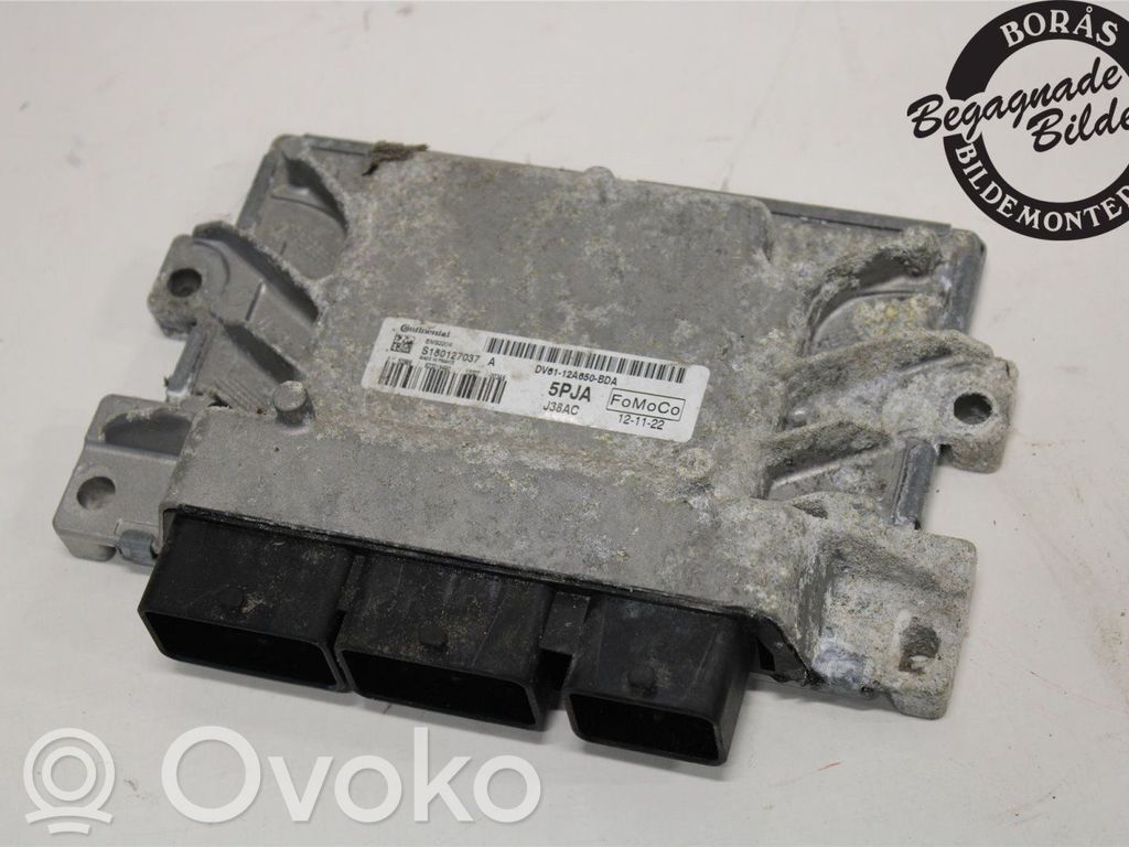 Ford Focus Injection control unit/module 