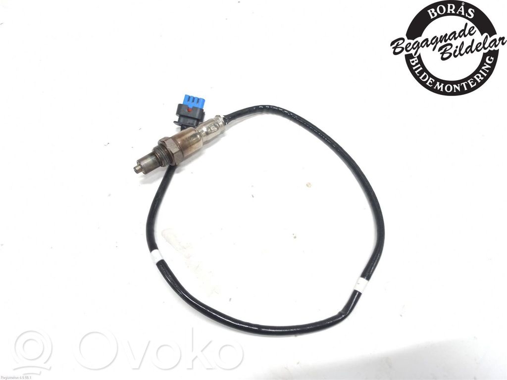 Lambda probe sensor   2432225,LX619G444BB,LX619G444BB