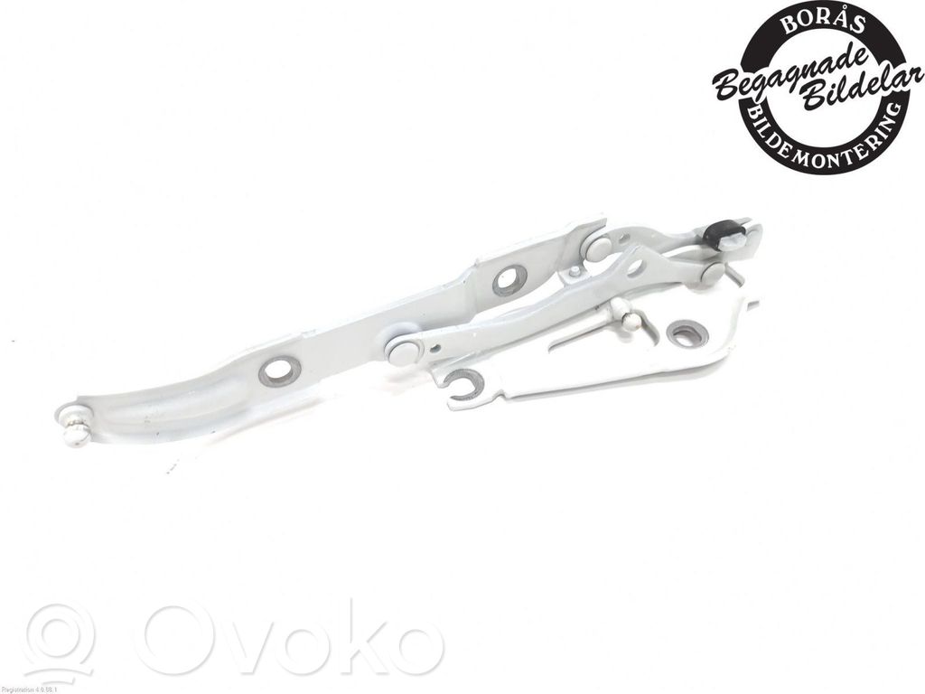 BMW 2 F22 F23 Cerniera portellone posteriore/bagagliaio 