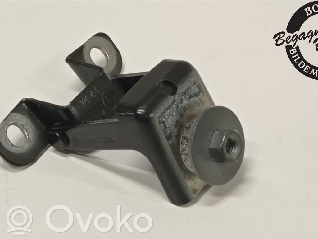 Tailgate/trunk/boot hinge   3044008253R,844004437R