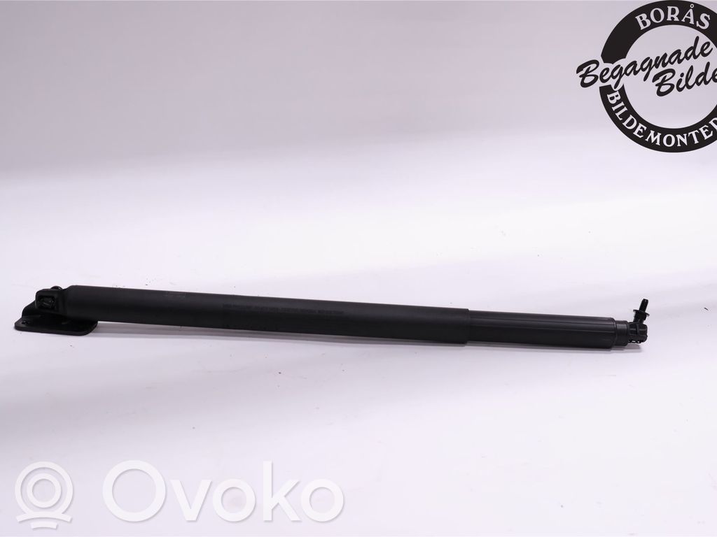 Tailgate strut   81840J7210