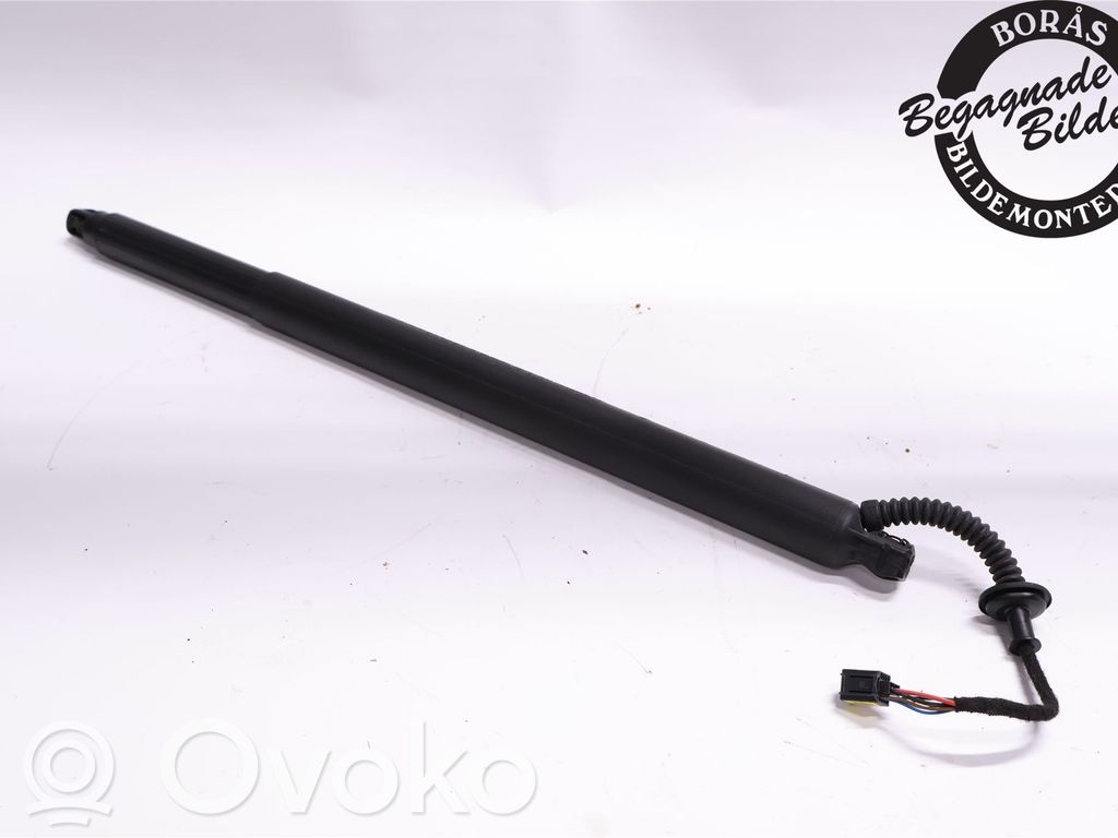 Tailgate strut   81830J7210