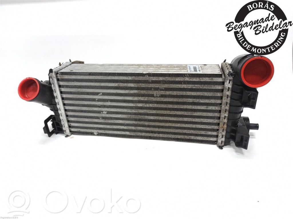 Intercooler radiator   2026747