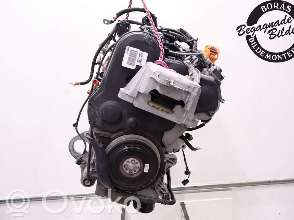 Engine   36011597