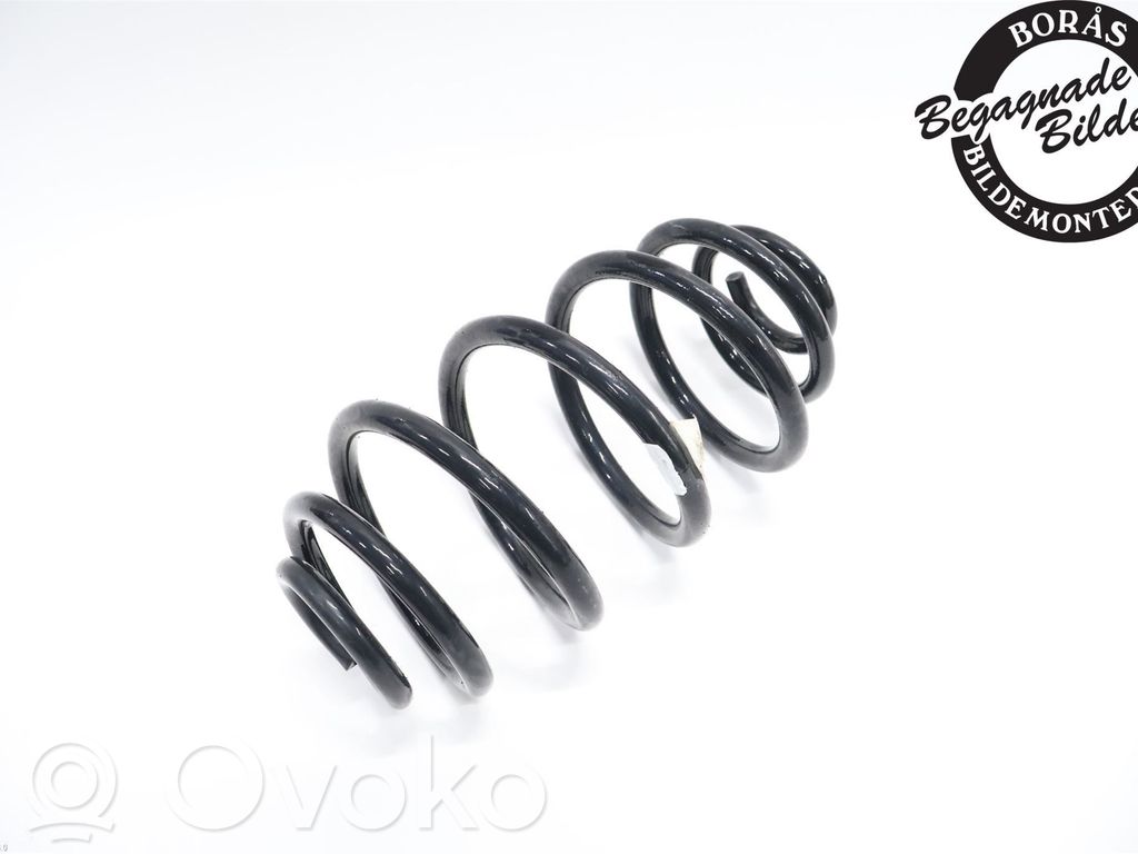 Rear coil spring