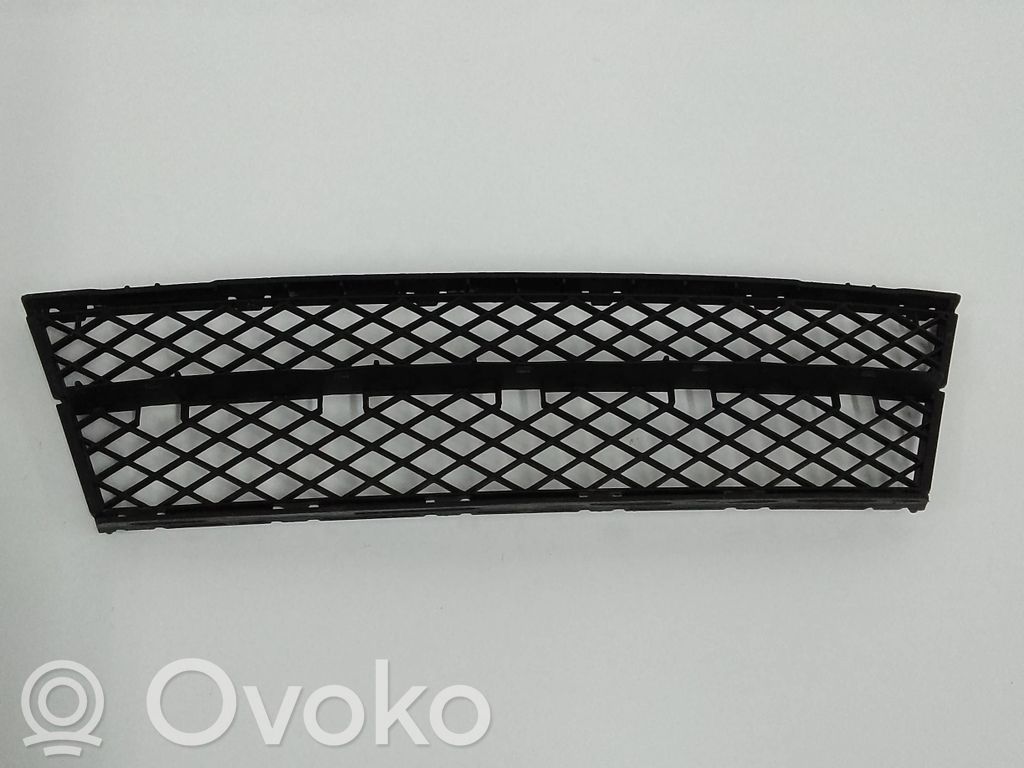 Front bumper lower grill   51117178115
