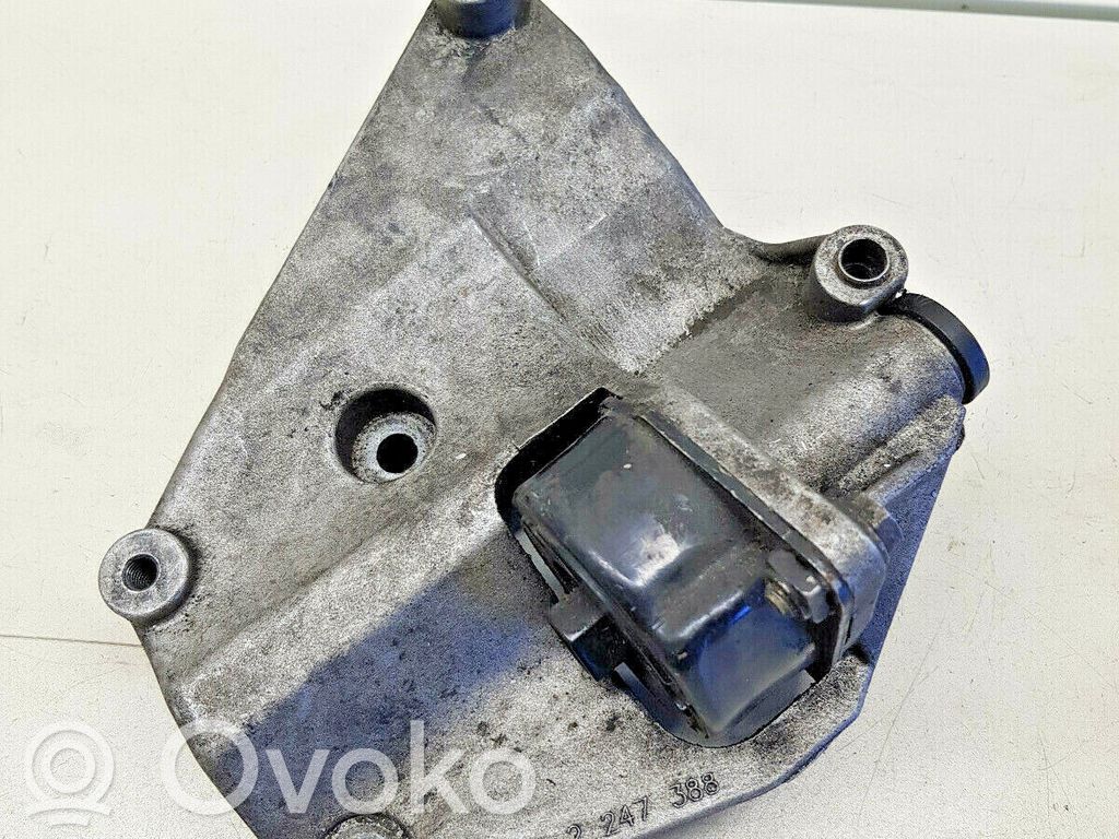 BMW 3 E46 Air conditioning tensioner 