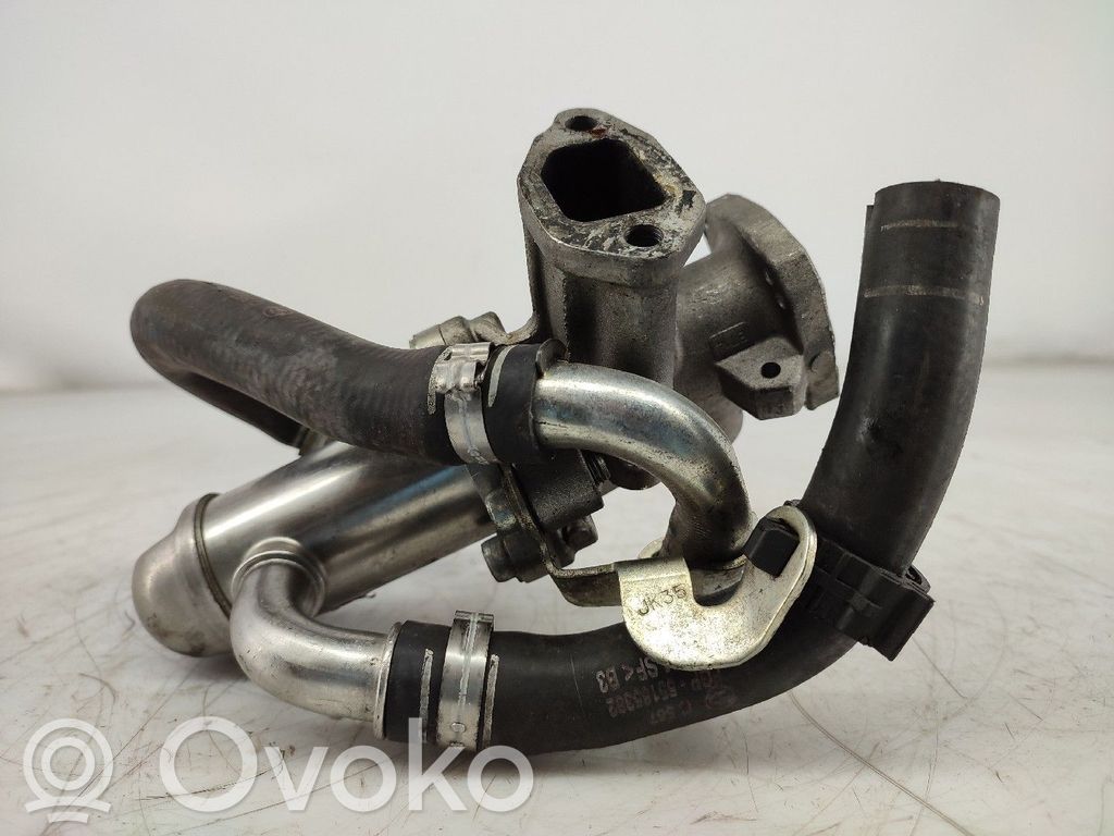 EGR-venttiili   55184651,8247050063A