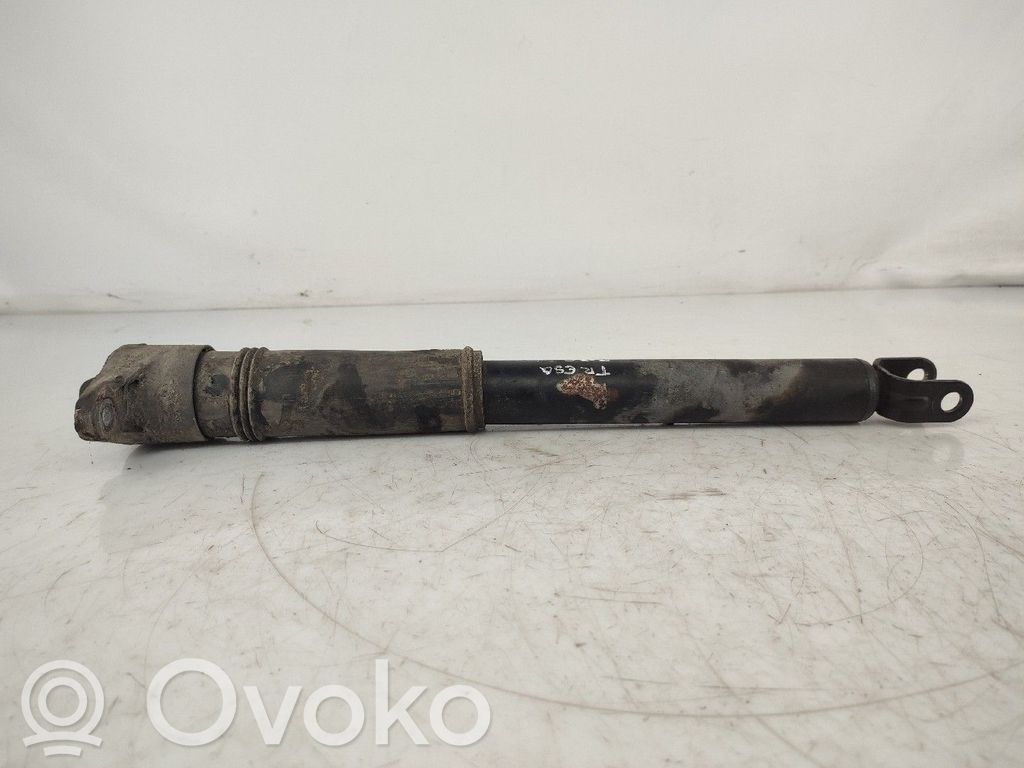 Rear shock absorber/damper