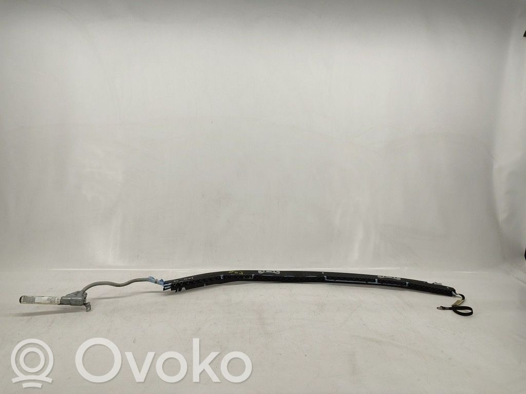 Airbag del techo   30004176