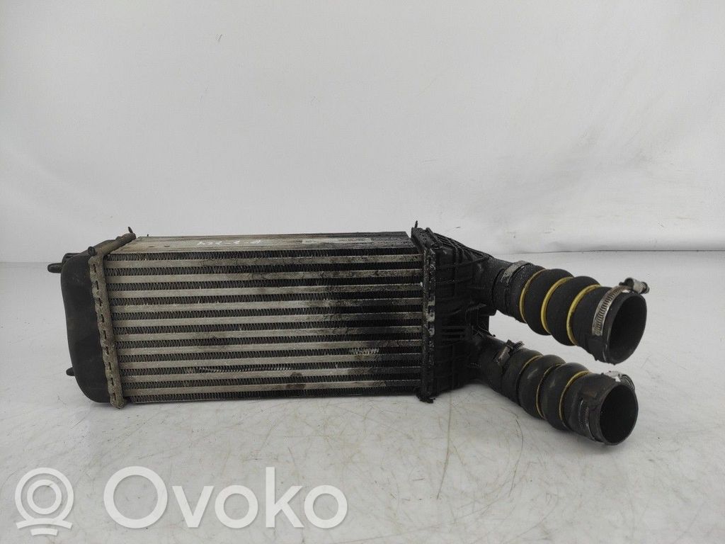 Radiador intercooler   99001059