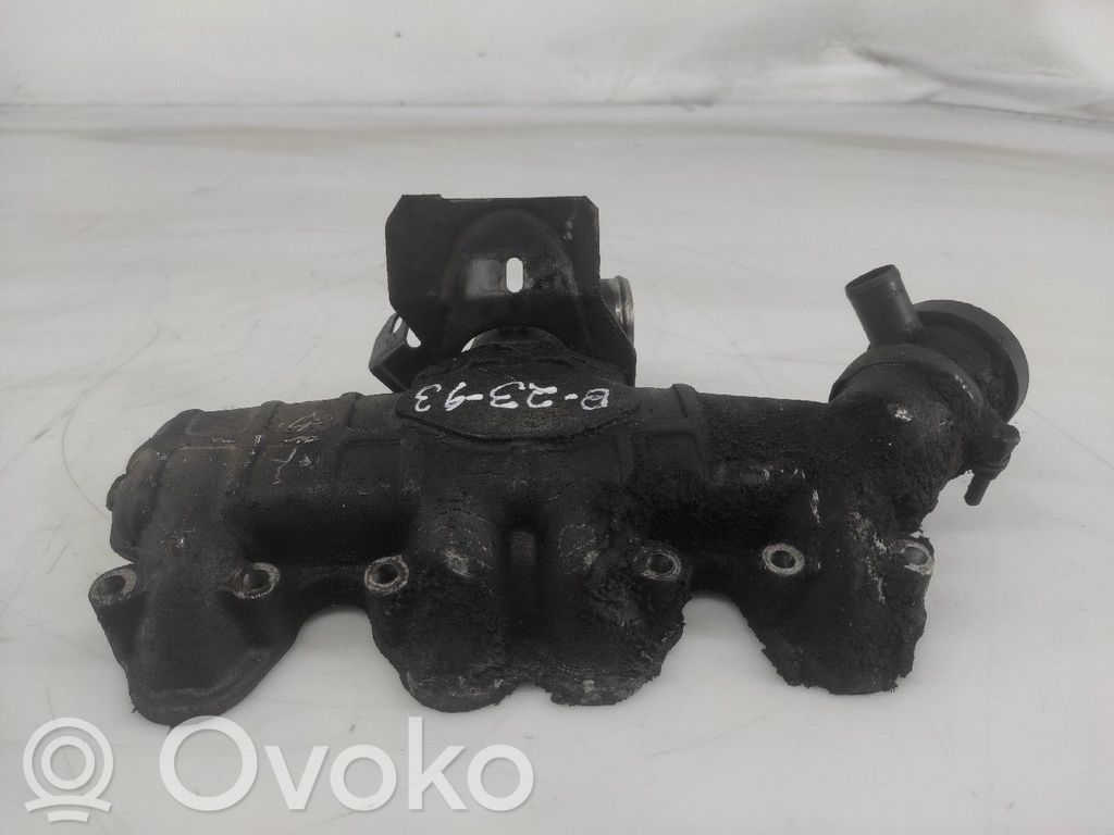 Intake manifold   068129713H