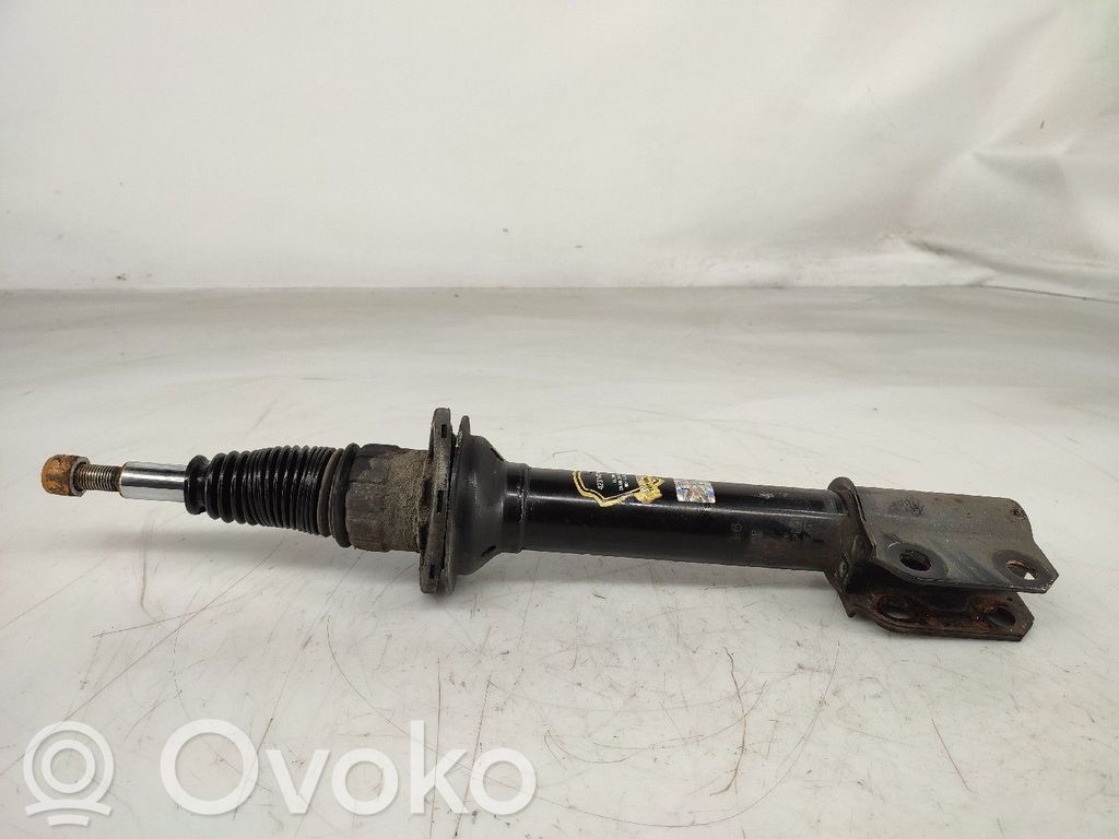 Stoßdämpfer vorne   423142JP