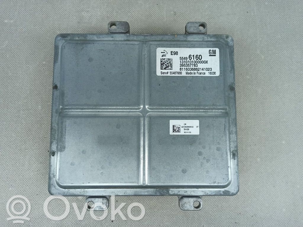 Engine control unit/module   55496160,395357783