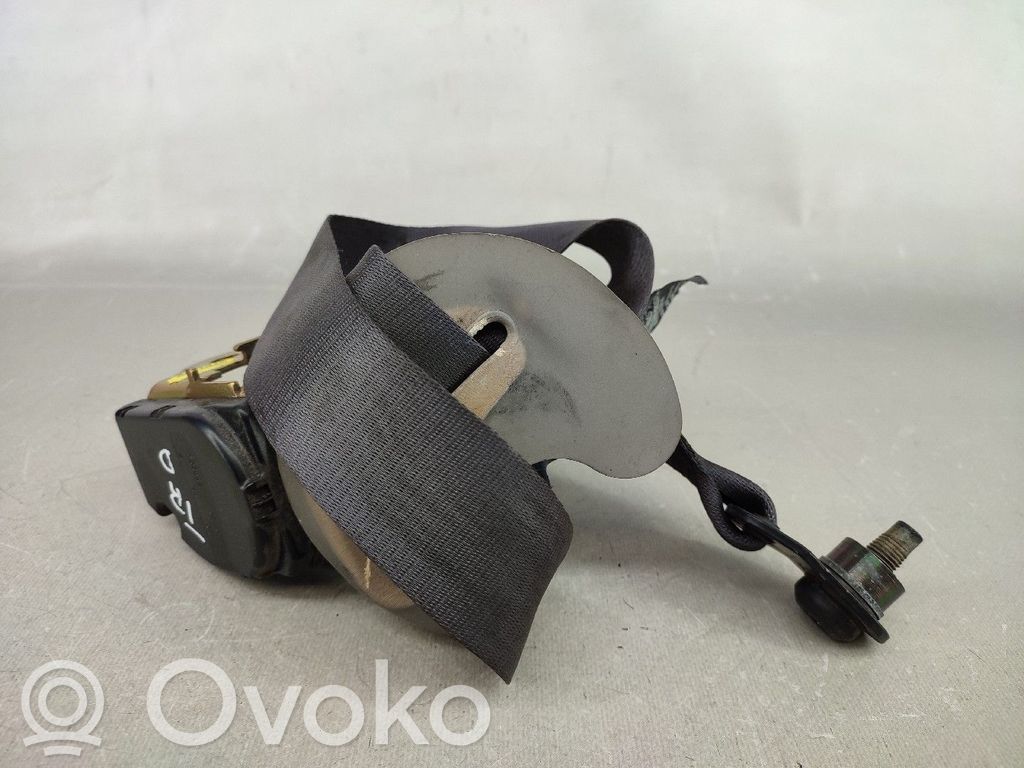 Cinturón trasero   EVL104060LNF