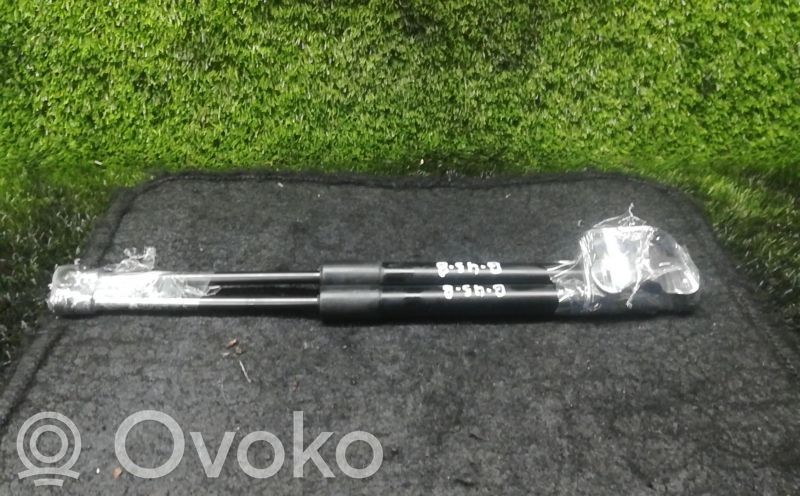 Amortizor hayon