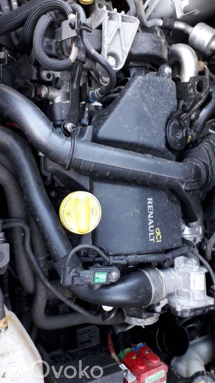 Engine   K9K770,115631,INJDELPHI