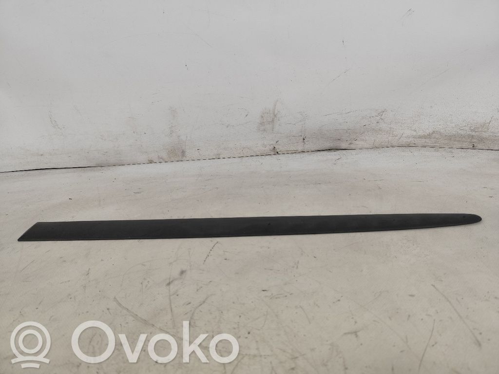 Ford Fiesta Apdaila priekinių durų (moldingas) 