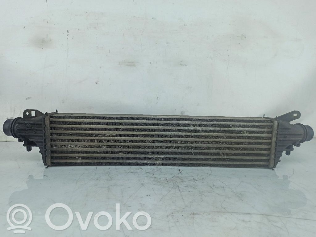 Intercooler radiator   8E3951000