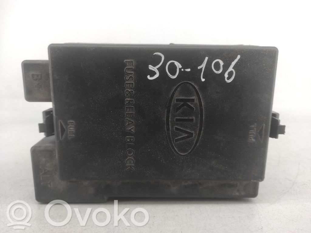 SAM-Steuergerät   919511F220