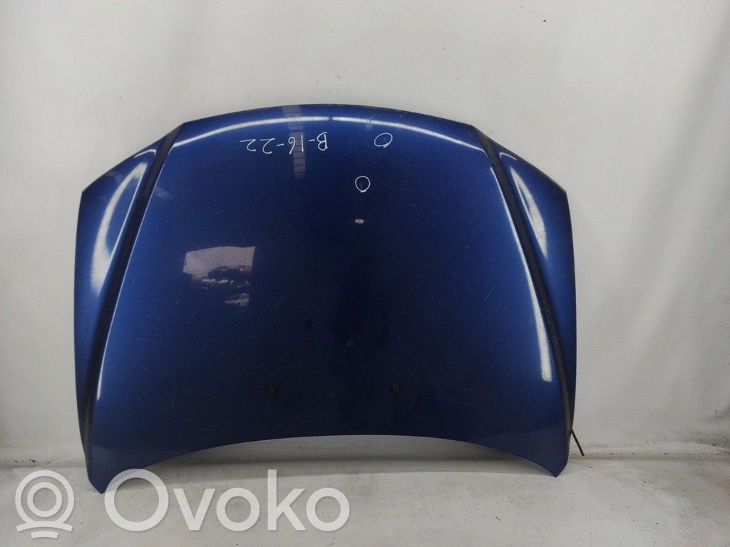 Motorhaube   DANIFICADO