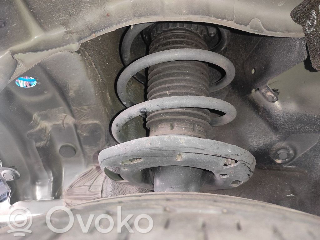 Front shock absorber/damper   DG7R34900,1A19117B