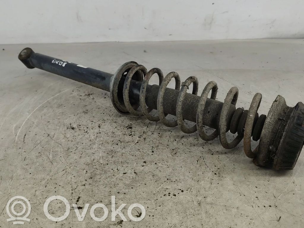 Stoßdämpfer hinten