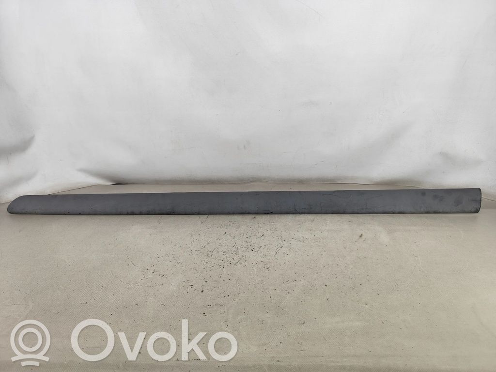 Listwa drzwi przednich   DGC102810LH