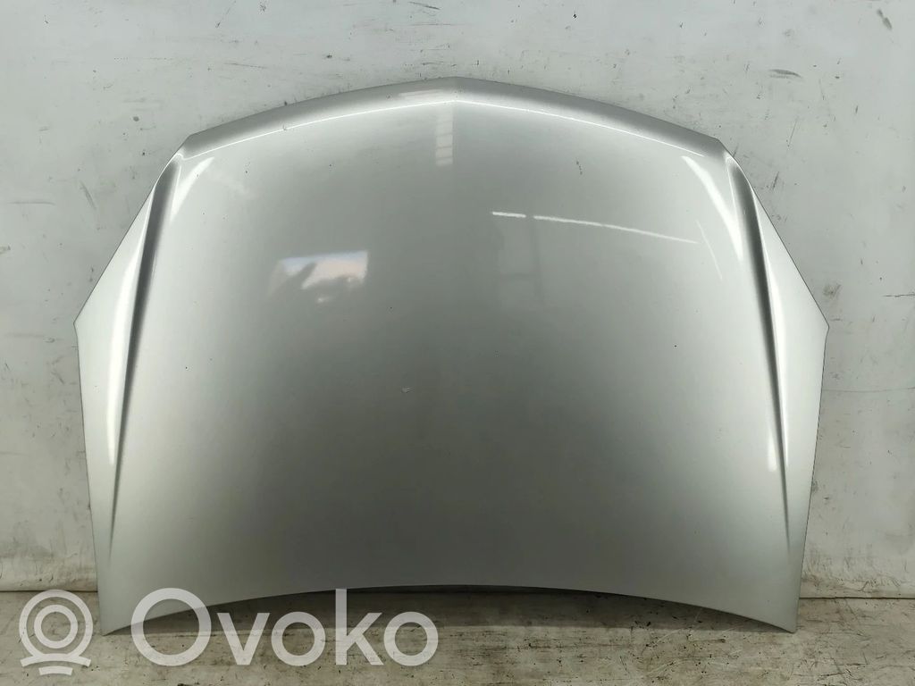Engine bonnet/hood