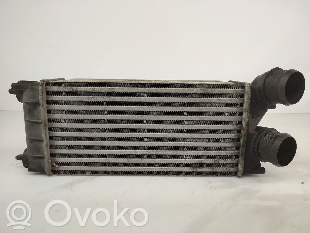 Interkūlerio radiatorius   9684212480