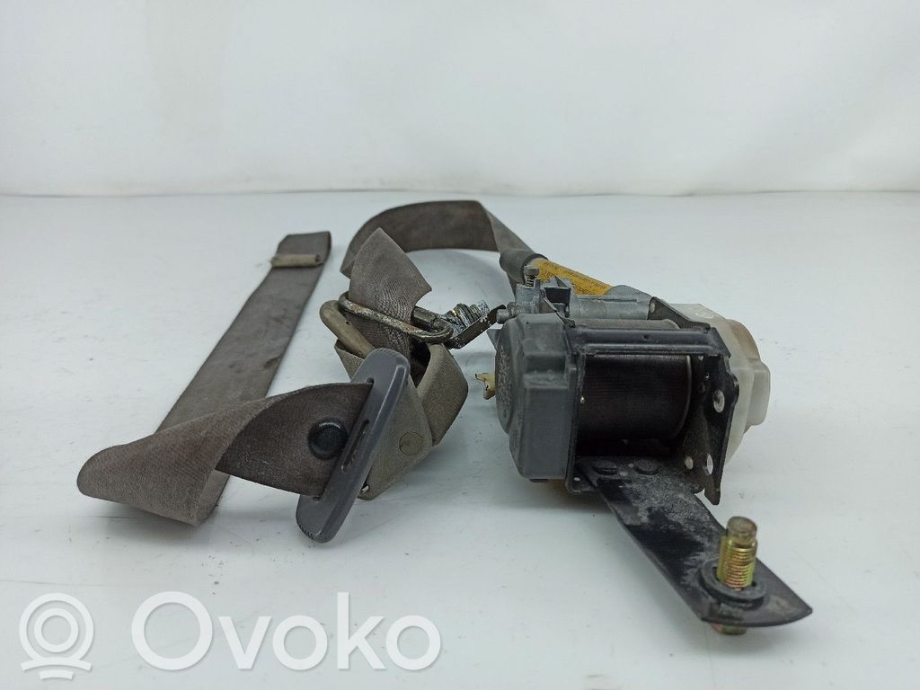 Cinturón delantero   NV,NSB085NRT32