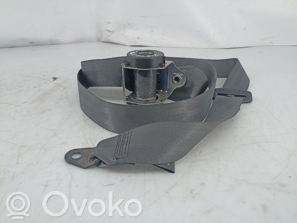 Cinturón trasero   F13443561