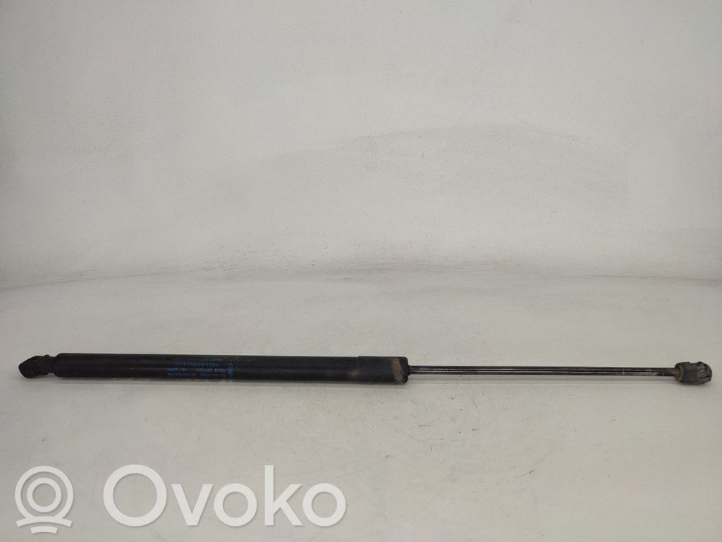 Tailgate/trunk strut/damper   6M21R406A10CD
