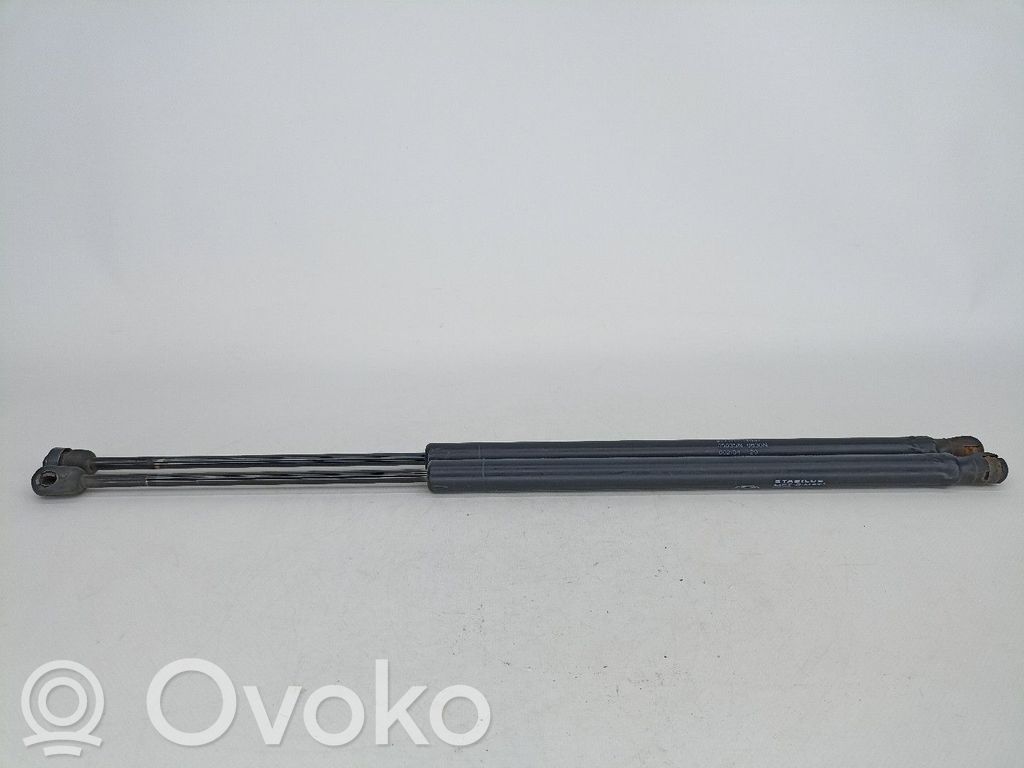Tailgate/trunk strut/damper   8177017031