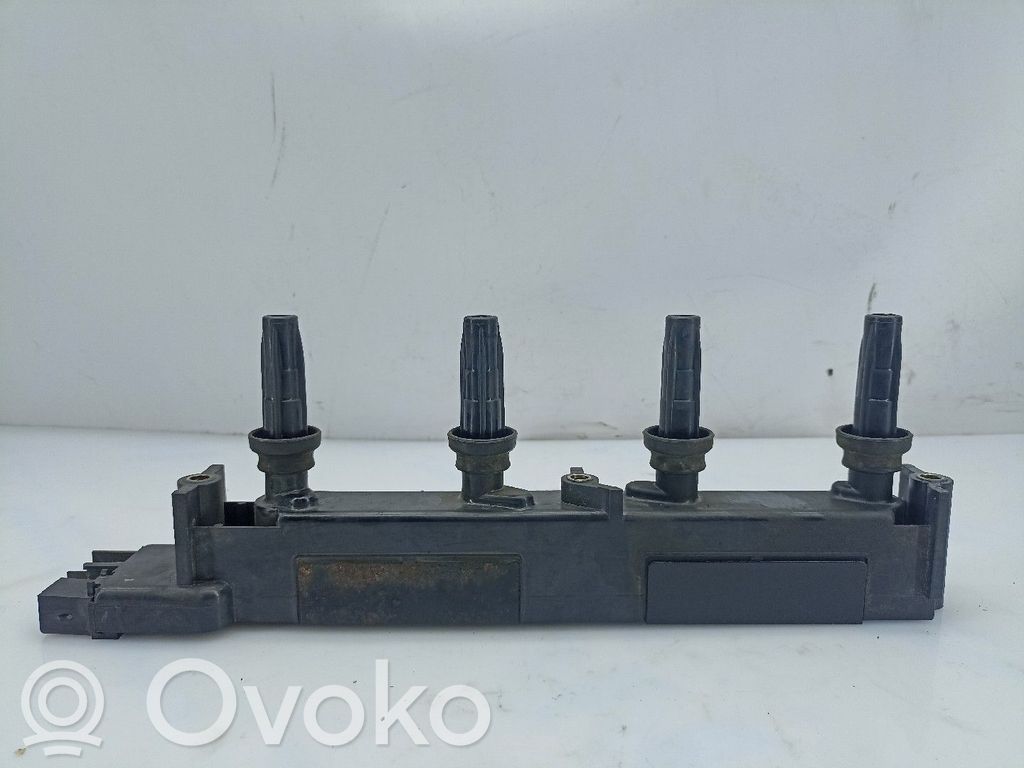 High voltage ignition coil   NV,4PINOS
