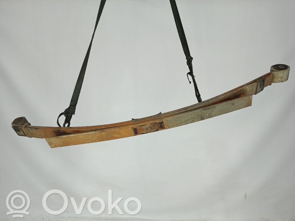 Rear coil spring   NV