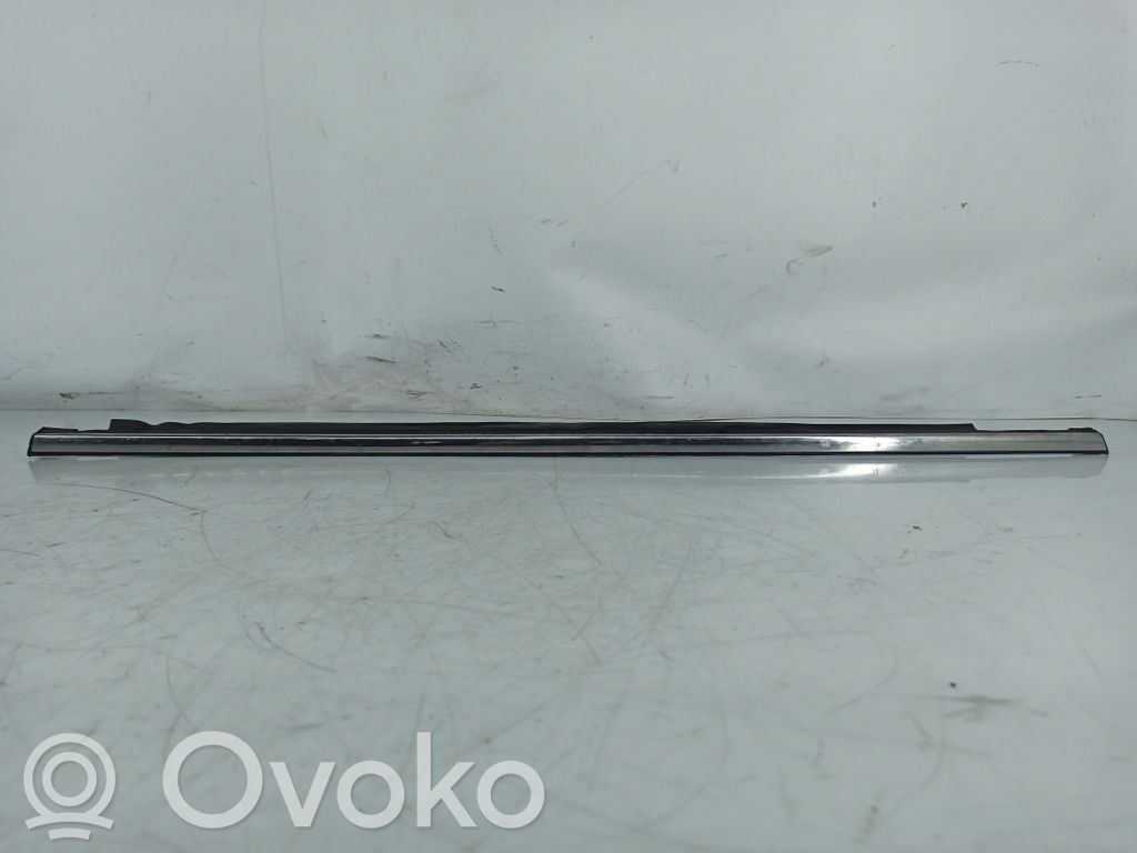 Jaguar S-Type Rivestimento della portiera anteriore (modanatura)