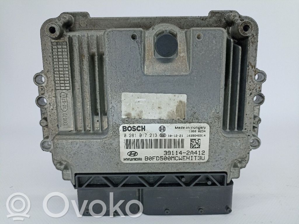 Sterownik / Moduł ECU   0281017213,391142A412