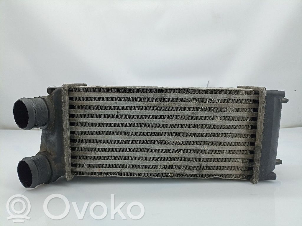 Radiador intercooler   9648551880,876923J